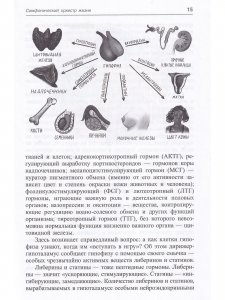 Молекулярная симфония, или Волшебный оркестр жизни